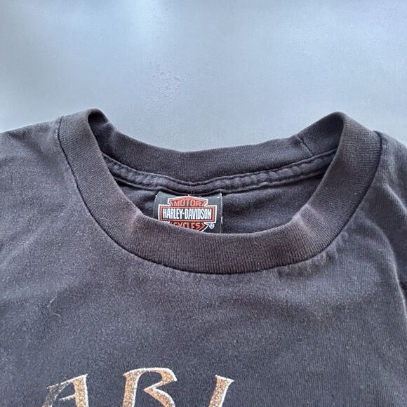 Vintage Harley Davidson Shirt Mens Large Wild Boar Double Sided Nashville, TN - Picture 5 of 7